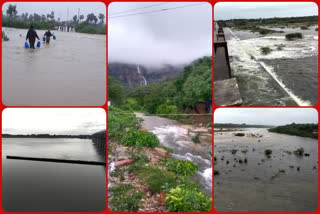 fifth day rains in nellore