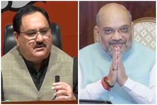 Shah Nadda to attend oath taking ceremony of Nitish Kumar Etv bharat news