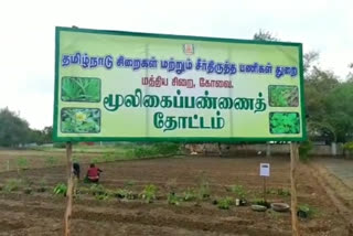 central prison Herbal Garden