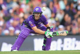tim paine to play for hobart hurricans in Big bash league