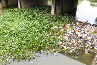 odampokki river