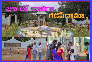 Sri Venkateswara Zoo park start today onwards