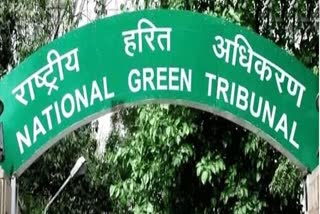 NGT के प्रतिबंध के बावजूद हुई आतिशबाजी