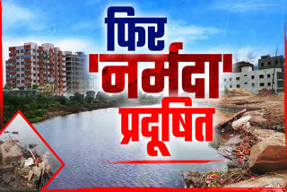 narmada river polluted