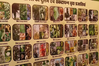 32-tree-species-in-crisis-in-mp