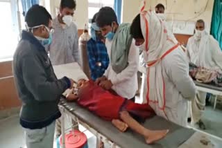 Dausa news, people injured in mad dog attack, Rabies injection