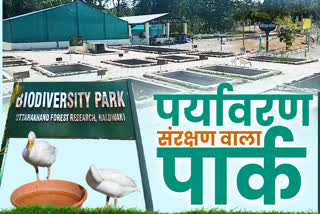 Forest Research Center haldwani