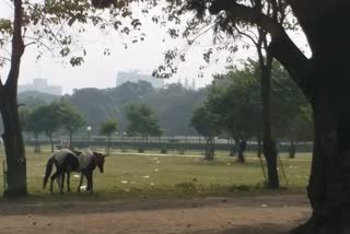 আলিপুর আবহাওয়া দপ্তর