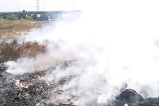 fire in ground lying vacant behind spice mall in noida