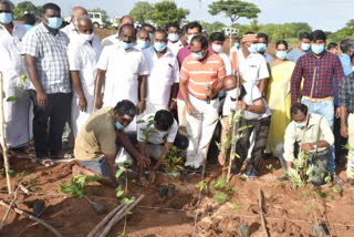 Saplings planting ceremony