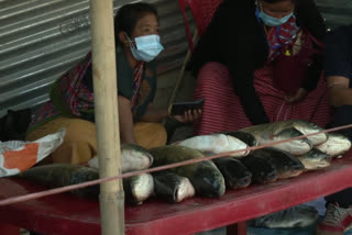 कोरोना के बीच इम्फाल में आयोजित हुआ मछली मेला, 20 फीसदी कम दरों पर बिकी मछलियां