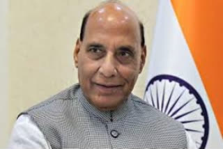 Union Defence Minister Rajnath Singh (file image)