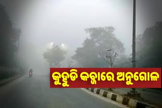 ଘନ କୁହୁଡିରେ ଢାଙ୍କି ହେଲା ଶିଳ୍ପନଗରୀ ଅନୁଗୋଳ