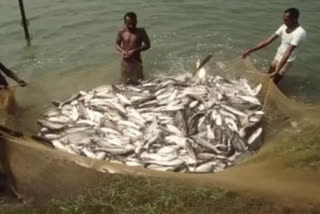 world fisherman day celebrated on 21 November in koriya