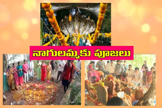 nagula-chavithi-special-puja-2020-in-telangana