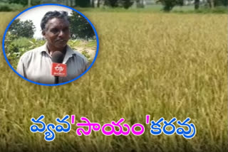 పెరిగిన కూలీ ఖర్చులు...మిగిలిన వ్యయప్రయాసలు