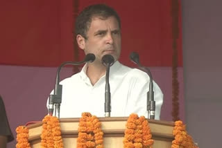 I do not understand, the country is developing or shrinking: Rahul