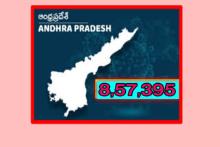 1236-new-corona-positive-cases-registered-in-ap