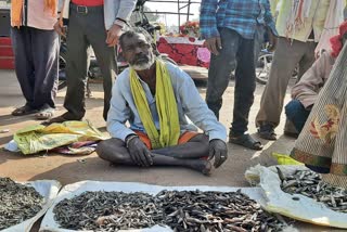 Kurud Fish Market of Dhamtari