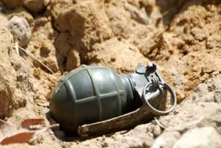 militants lob grenade