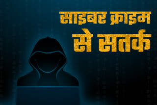 cyber expert on cyber crimes