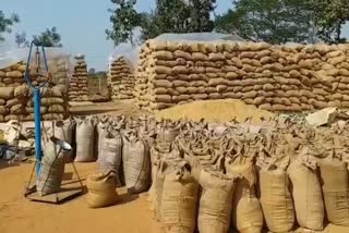 cm-bhupesh-baghel-statement-on-gunny-bags-for-paddy-purchase-in-raipur