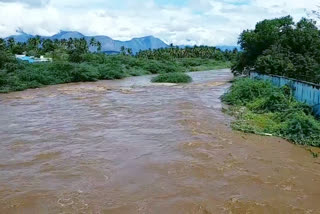 vaigai dam water level increased for moola vaigai rainfall