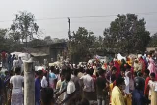 malda