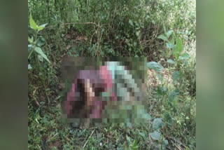 old-woman-dies-by-attacking-elephant-in-covai