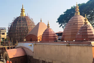 The Golden Peak of the Kamakhya Temple is open to the public_