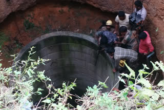 elephant fell into the well