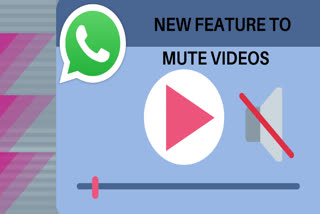 mute videos, WhatsApp