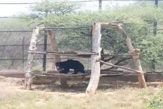 Nahargarh Biological Park Jaipur, Jaipur news