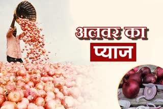 अलवर के प्याज की मांग, अलवर में प्याज मंडी, Onion Market in Alwar, Alwar onion demand