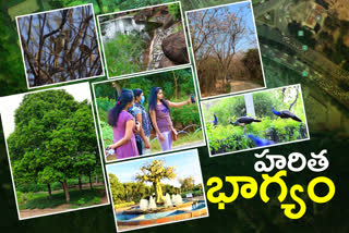 parks development in hyderabad by ghmc