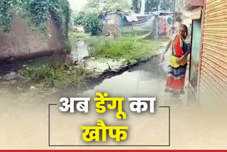 Dengue outbreak in 12 districts of Bihar
