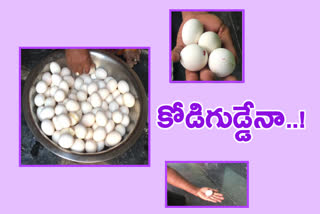 eggs-that-are-small-which-are-used-in-mid-day-meal-in-prakasham-district