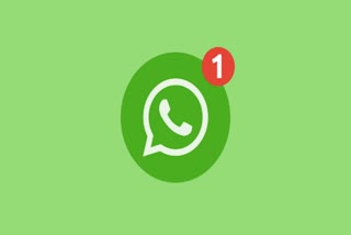 Mute Videos on WhatsApp before sending
