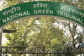 National Green Tribunal  Pune's Prayeja City  Justice Adarsh Kumar Goel  NGT  New Delhi  Maharashtra Pollution Control Board  പാരിസ്ഥിതിക മാനദണ്ഡങ്ങൾ ലംഘിച്ചു  പ്രയജ സിറ്റിയ്‌ക്കെതിരെ നടപടി  ദേശീയ ഹരിത ട്രൈബ്യൂണൽ