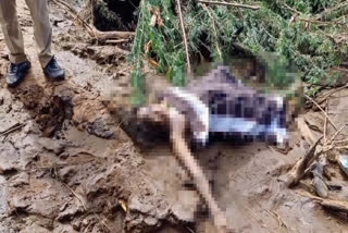 grandmother-killed-in-vaigai-river-floods-police-investigation