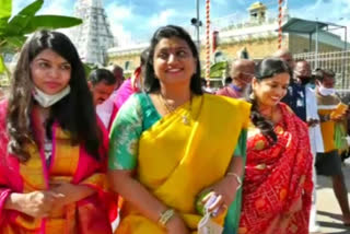 MLA ROJA