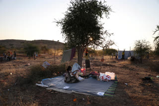 WFP feeds thousands who fled Tigray conflict