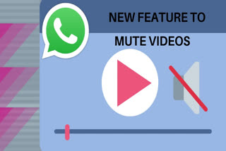 WhatsApp, Mute Videos