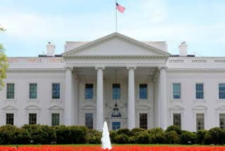 40 million COVID-19 vaccine doses to be available by the end of the year: White House