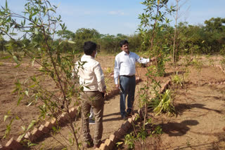 additional collector visit to mothkuru in yadadri bhuvanagiri district