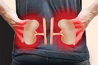 no medication for kidney diseased in srikakulam district