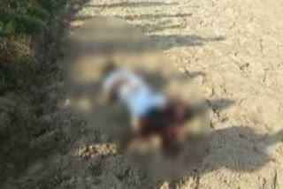 dead body of a man found in fields in sonipat