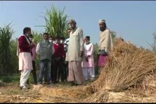 छात्र-छात्राओं ने किसानों को पराली नहीं जलाने के लिए किया जागरूक