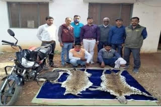 Two smugglers with leopard skin arrested in Shahdol