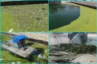 द्रव्यवती नदी का काम अधूरा, Garbage in dravyavatee river